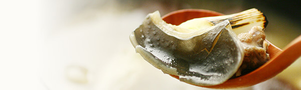 服部中村養鼈場の浜名湖すっぽん