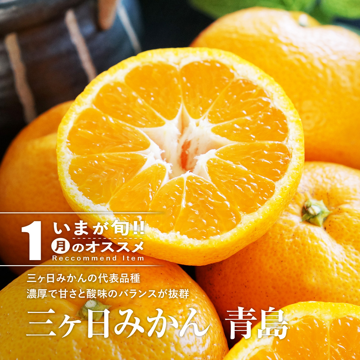 三ヶ日みかん青島