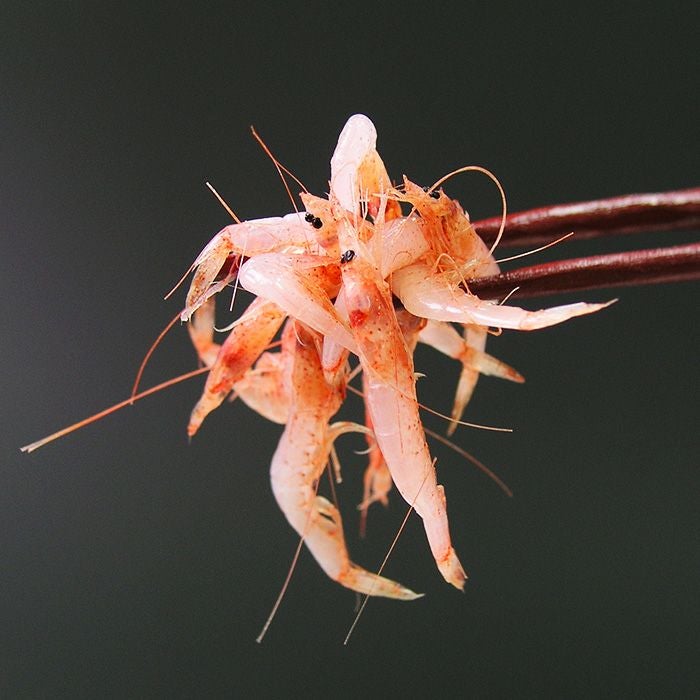 さくらえび 送料無料】静岡県由比産 秋漁 冷蔵 生桜えび 300g | セレクトフード