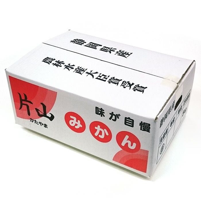 片山みかん Sサイズ 5kg 静岡・浜松 日下農園 ｜ 甘くて濃厚な旨み