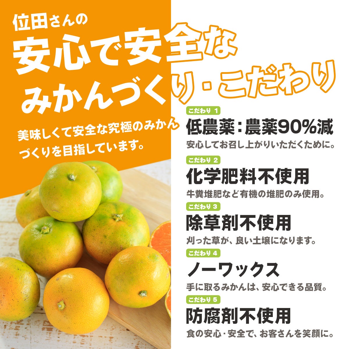 安心で安全な三ケ日みかん作り