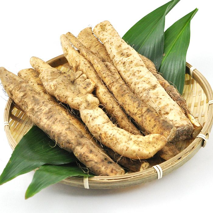 天然自然薯　2・1kg 自然薯 値段 天然 栃木県産 天然 自然薯 山芋 約1kg