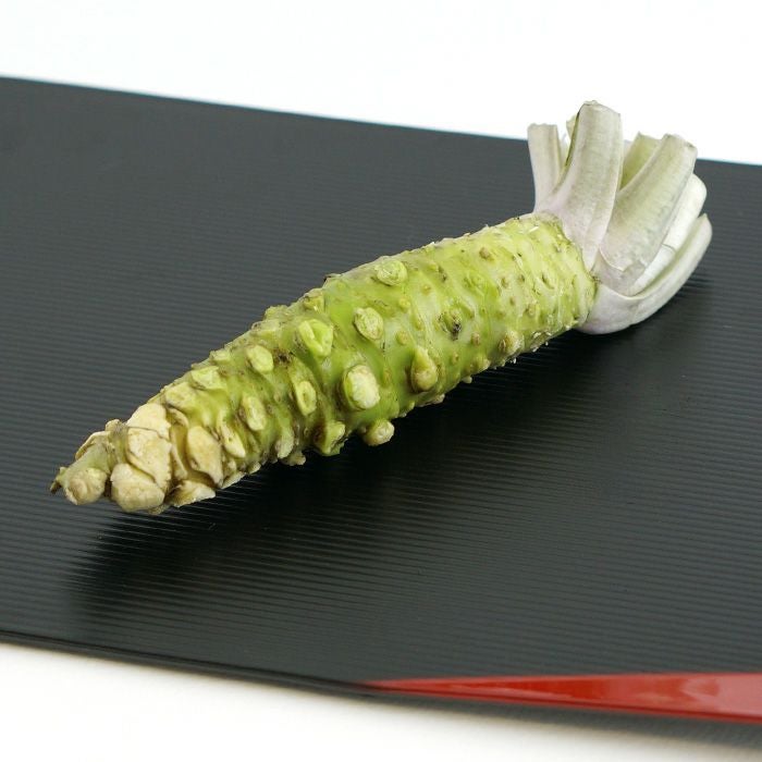 本わさび 伊豆天城産 | 本わさび・わさび生茎・きざみ茎わさび・山葵漬