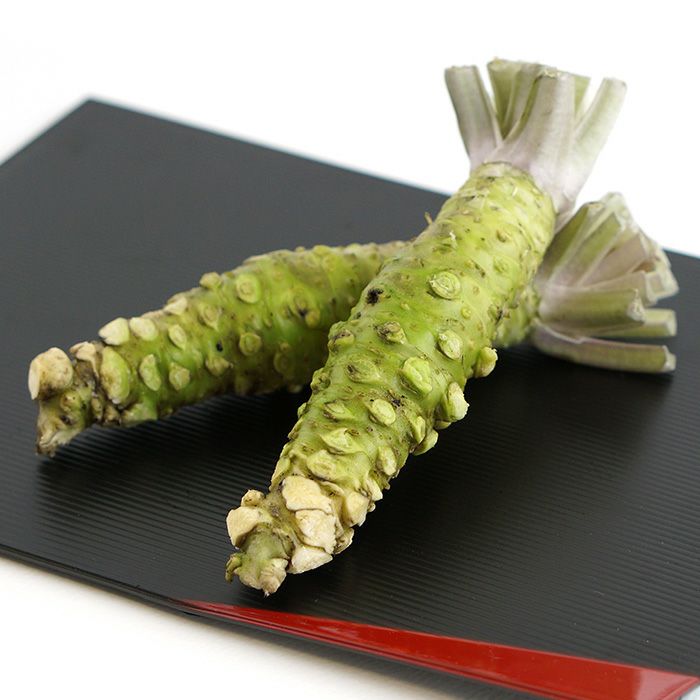 本わさび 伊豆天城産 | 本わさび・わさび生茎・きざみ茎わさび・山葵漬