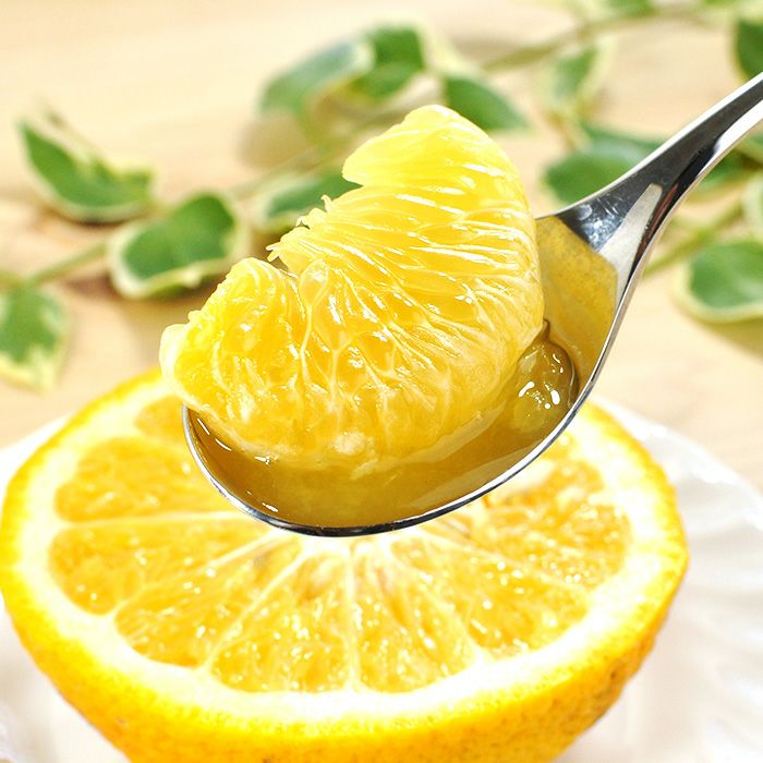 No.17【JUICY様】甘夏みかん 農薬不使用 27㎏ 静岡産、【日曜日発送】 27㎏ 農薬不使用 No.17【JUICY様】甘夏みかん 静岡産、【日曜日発送】