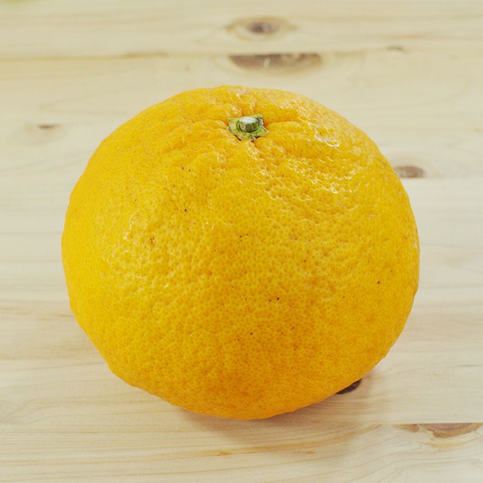 甘夏みかん 3.5kg 静岡県産 三ヶ日｜ 爽やかな酸味 無農薬 産地直送