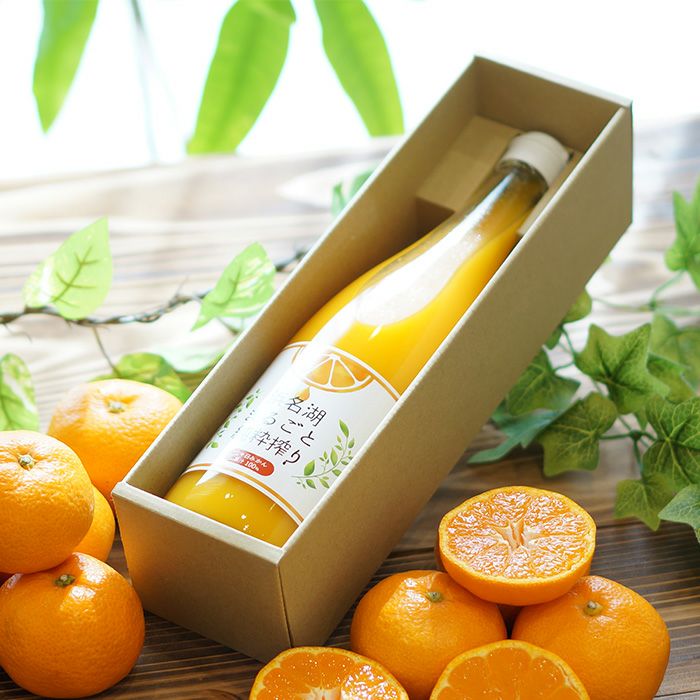 送料無料商品 ｜静岡グルメ セレクトフード