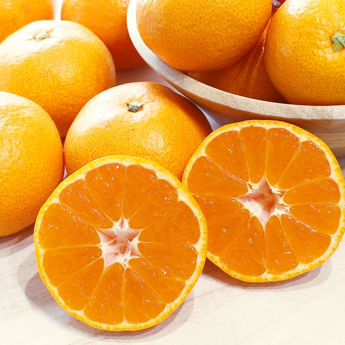 三ヶ日みかん 「早生」 S～Lサイズ混合 8kg ｜ 三ヶ日平山産ブランドみかん