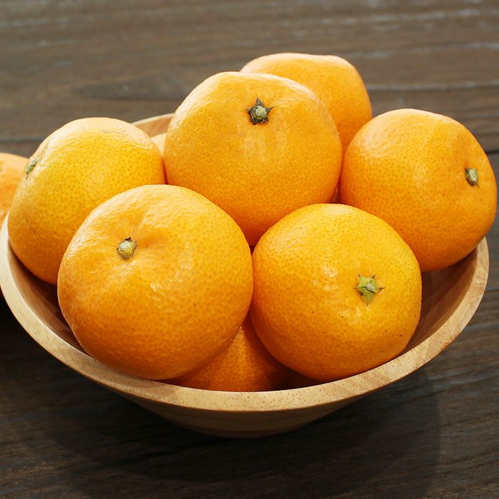 三ヶ日みかん 「早生」 S～Lサイズ混合 8kg ｜ 三ヶ日平山産ブランドみかん