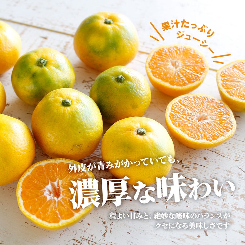 静岡・三ケ日みかん【三ヶ日平山産】由良（極早生）