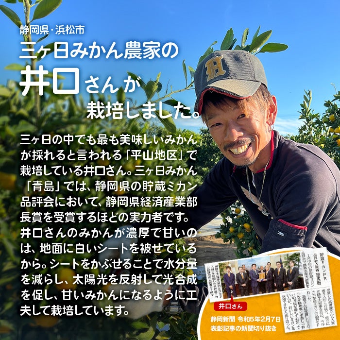 井口農園の静岡・三ケ日みかん【三ヶ日平山産】由良（極早生）