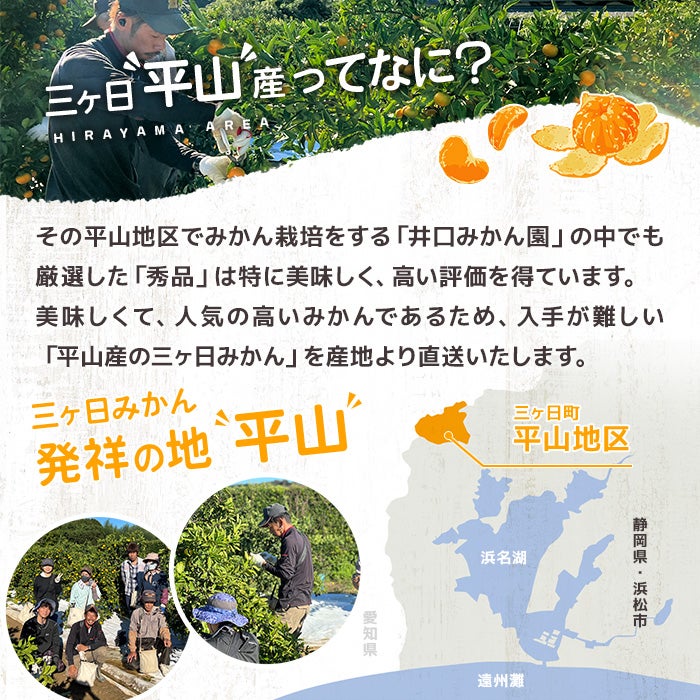 三ケ日平山産みかんとは