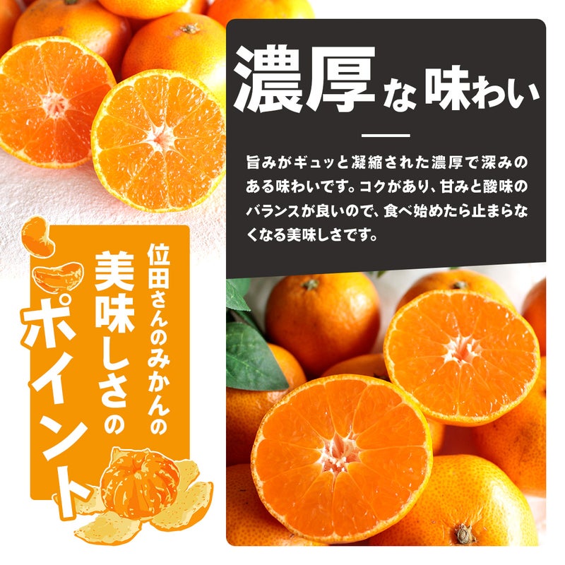 位田ファームの農薬不使用の三ケ日みかん極早生 濃厚な味わい