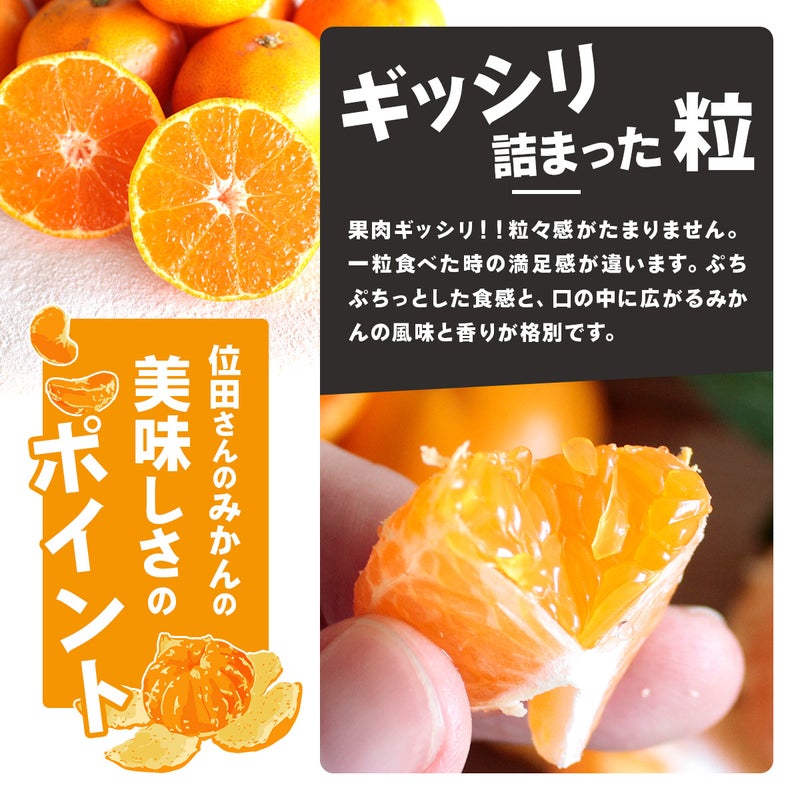 位田ファームの農薬不使用の三ケ日みかん極早生 ぎっしり詰まった粒