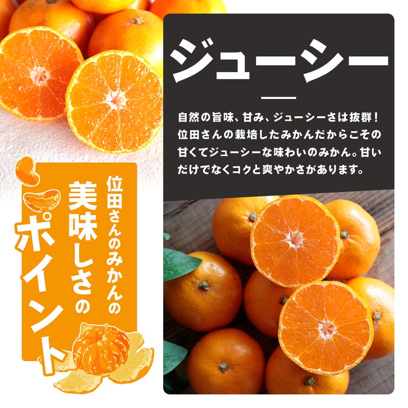 位田ファームの農薬不使用の三ケ日みかん極早生 ジューシー