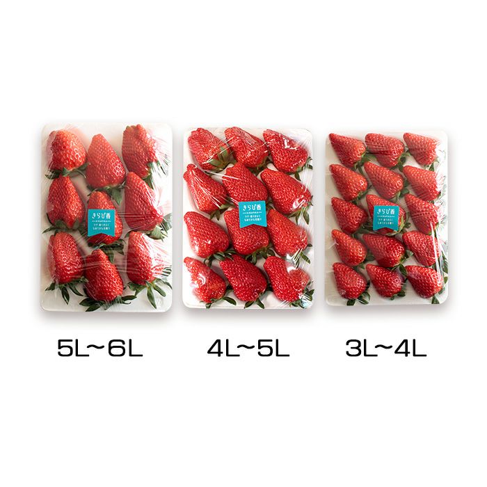 上村農園の章姫・紅ほっぺ・きらぴ香から2パック選べるいちご （1