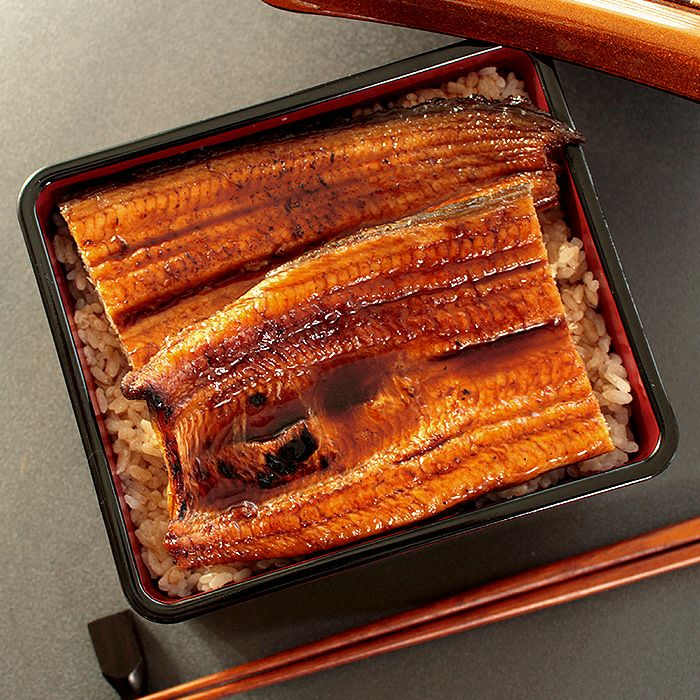 浜名湖産うなぎの長蒲焼 うな重