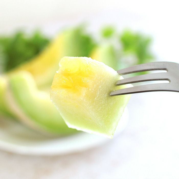 静岡マスクメロン「アールスメロン」1.7kg 古橋さんの大玉