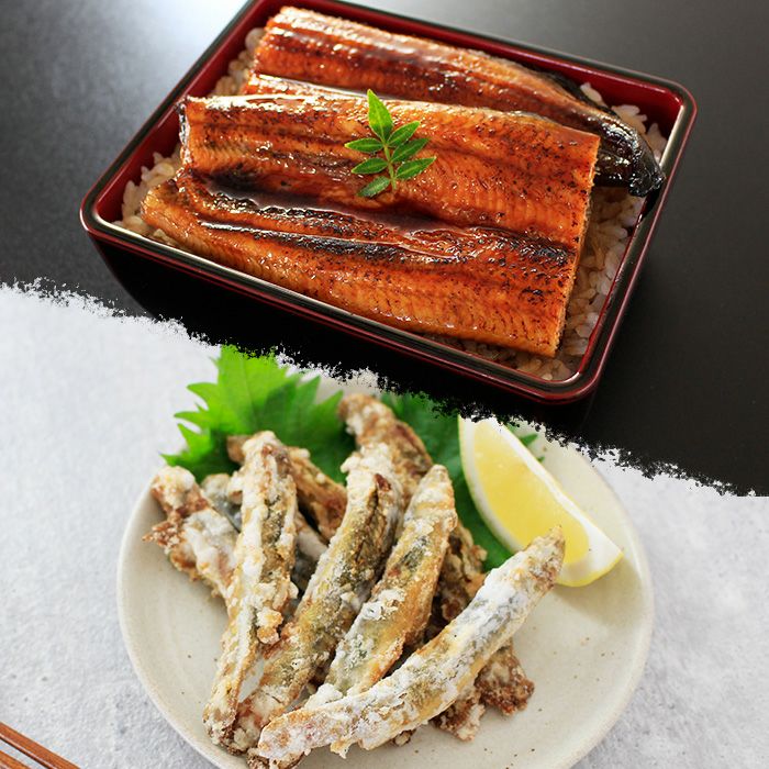 浜名湖産うなぎ「でしこ」の蒲焼2尾とどじょうの唐揚げ200g