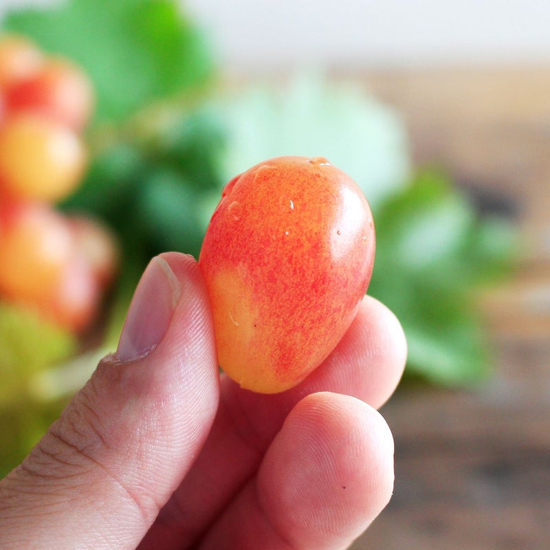 ヌーベルローズ1粒