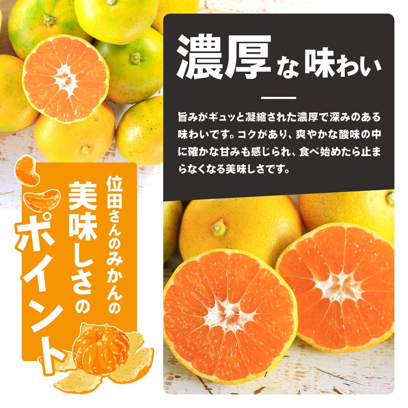 濃厚な味わいのある位田ファーム［農薬不使用］三ケ日みかん極早生
