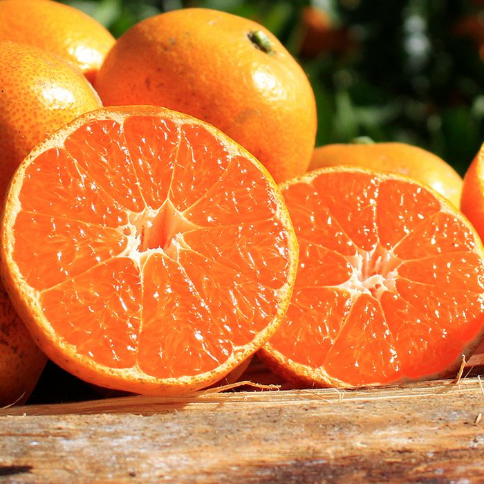 33farmの三ヶ日みかん早生