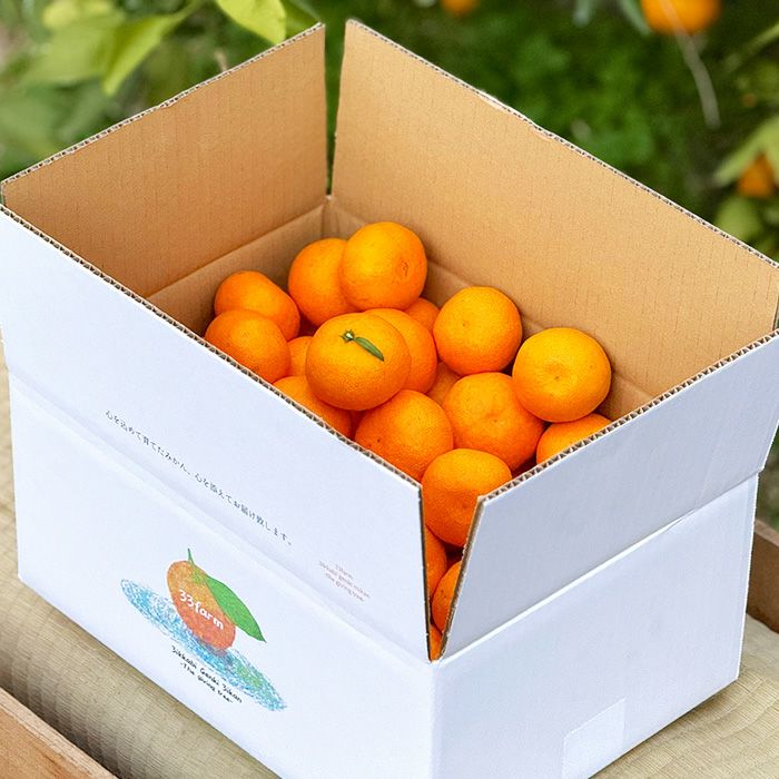 33farmの減農薬三ヶ日みかん早生 2S～Lサイズ混合 5kg, 10kg
