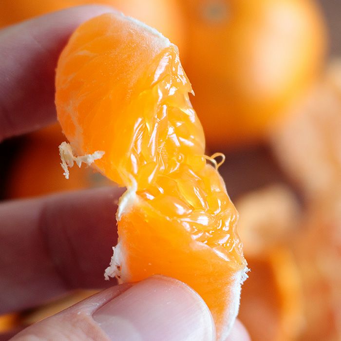 位田さんの農薬不使用三ケ日みかん南柑