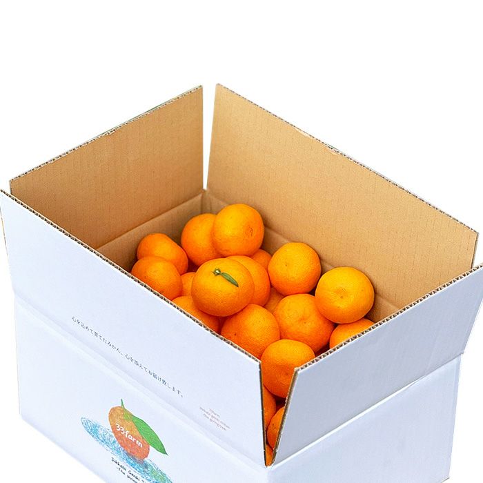 33farmの農薬不使用三ヶ日みかん青島 5kg 10kg