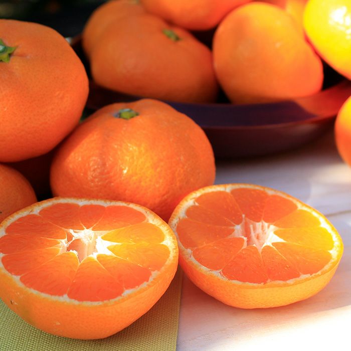 柑甘ファームの三ヶ日みかん青島