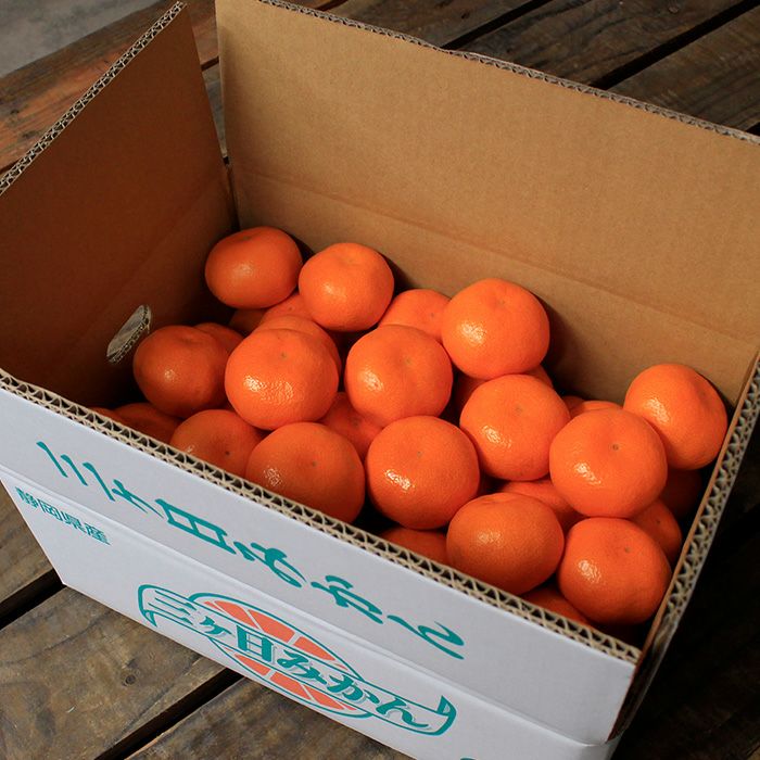 柑甘ファームの「蔵出し」三ヶ日みかん 青島箱入り M～2Lサイズ