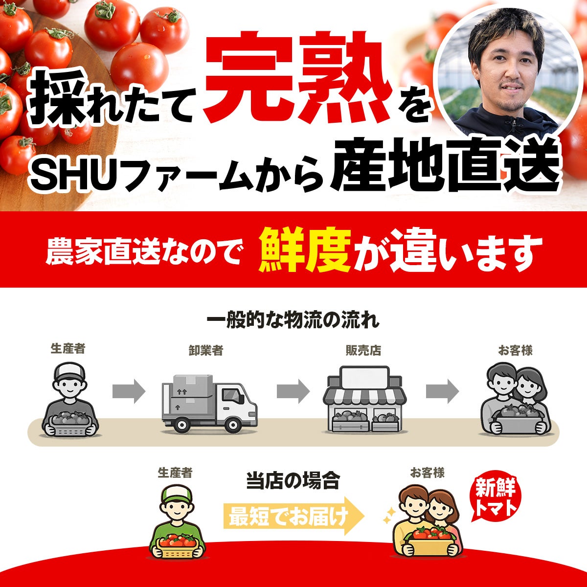 とれたて完熟トマトをSHUファームから産地直送