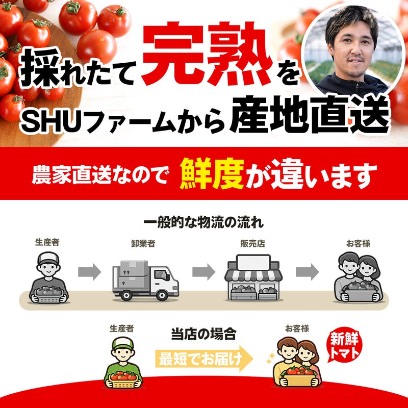 とれたて完熟トマトをSHUファームから産地直送
