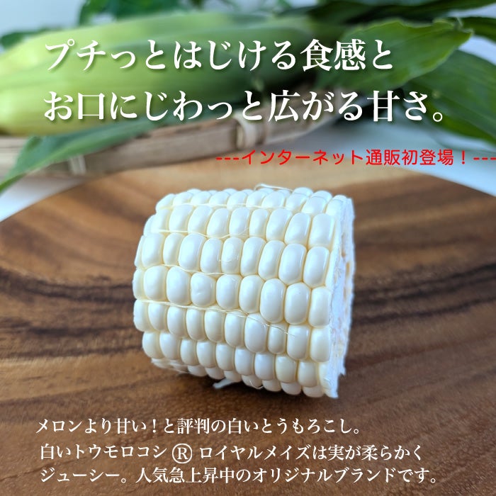 白いとうもろこし とは