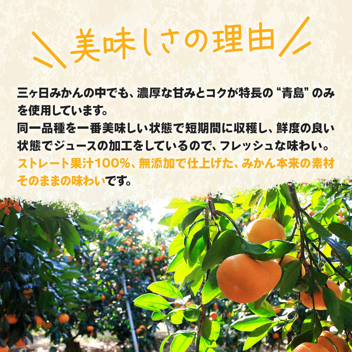 青島みかんとは
