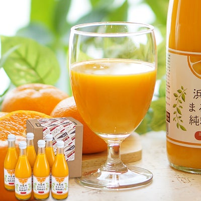 静岡 三ケ日みかんジュース 「浜名湖まるごと純粋搾り」720ｍｌ　6本