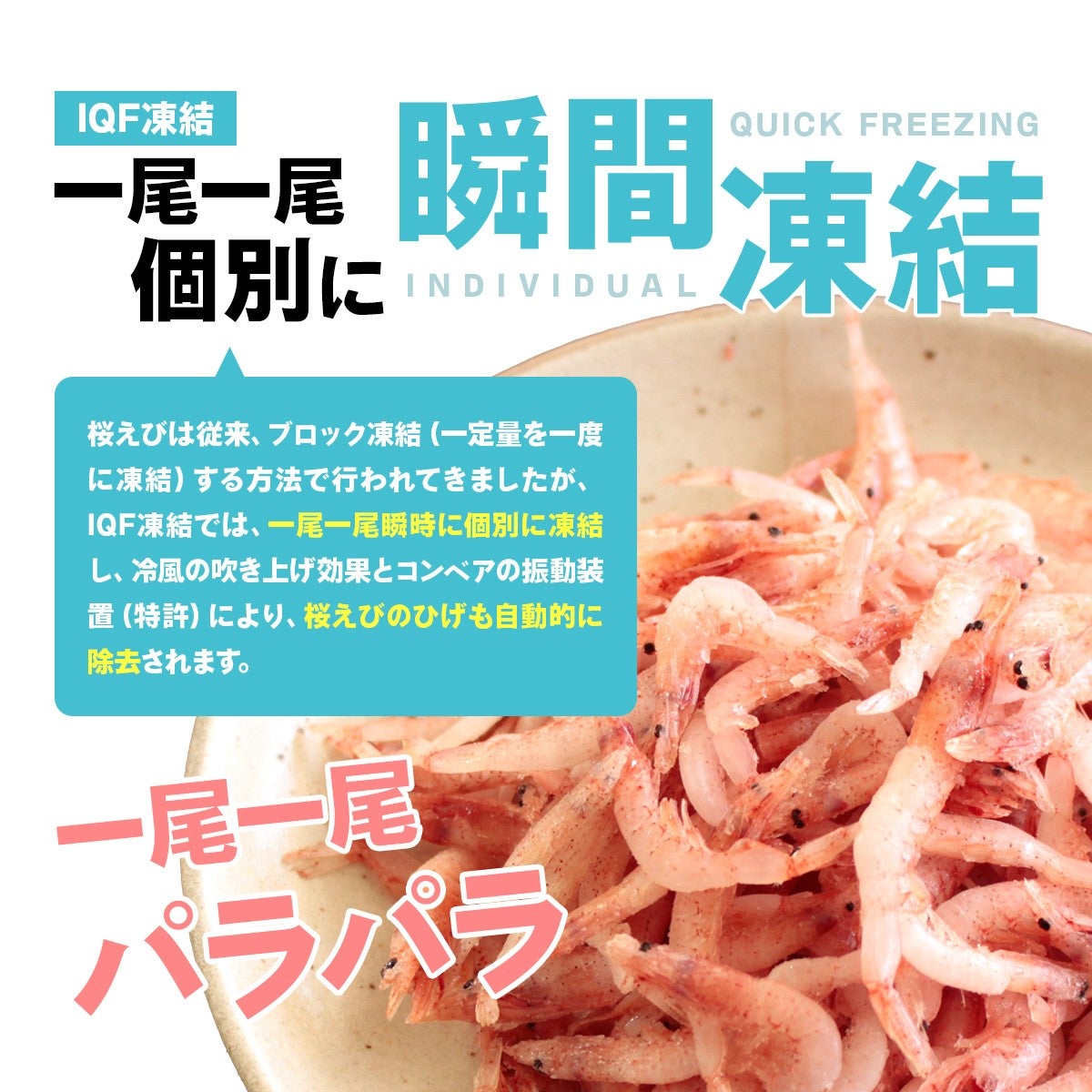 駿河湾産 　生桜えび 100g（50g 2パック）瞬間冷凍